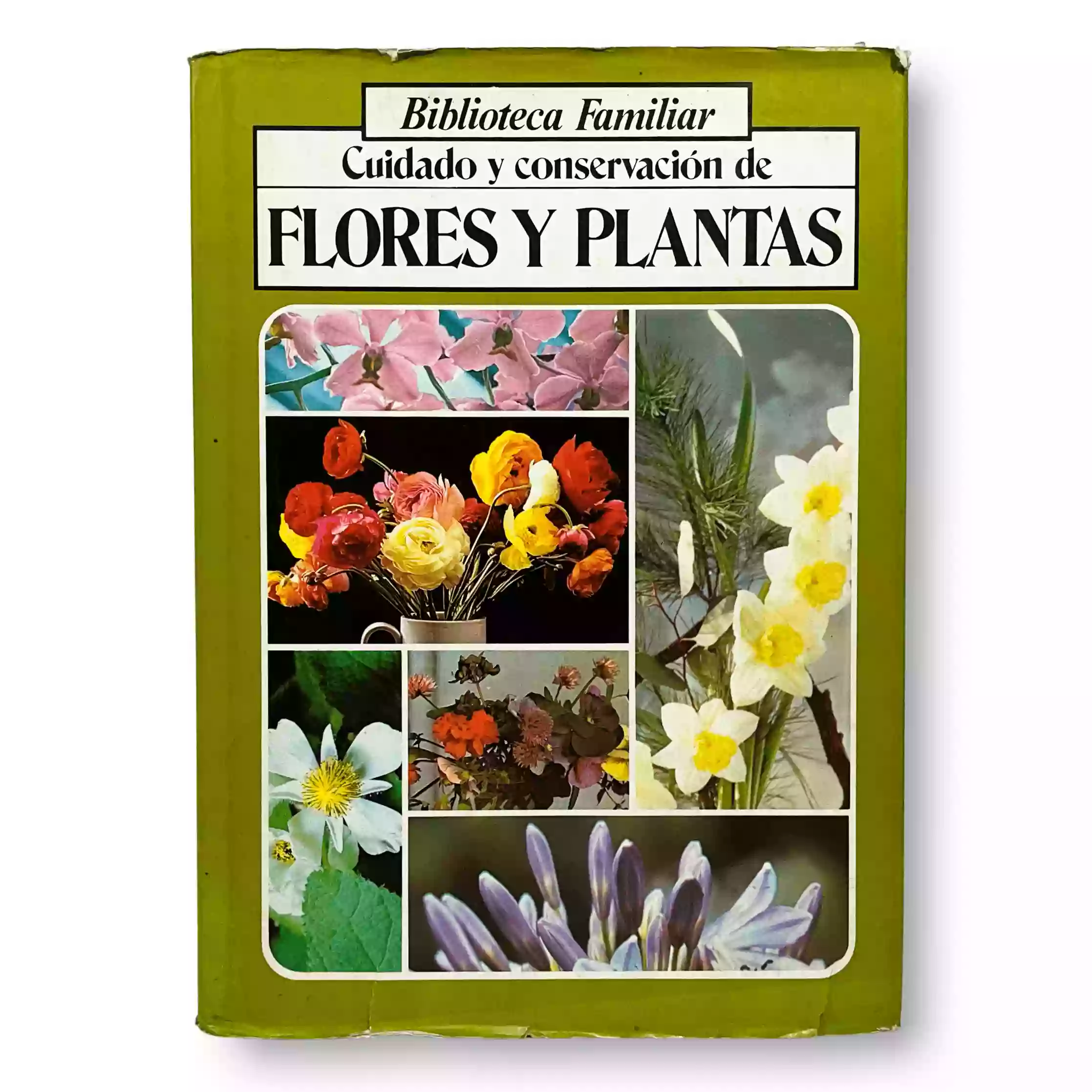Cuidado y conservación de flores y plantas