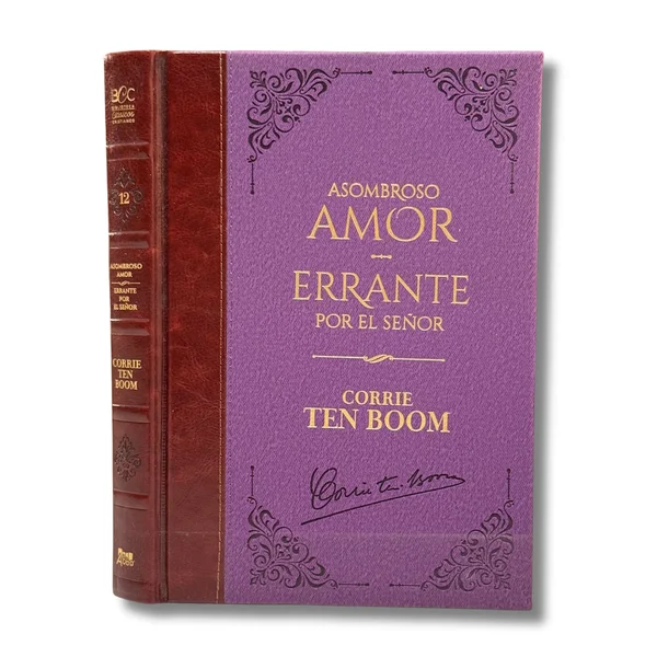 Asombroso Amor / Errante por el Señor