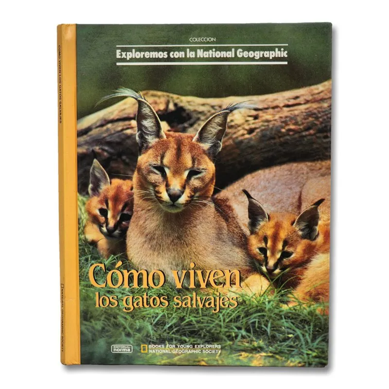 Cómo viven los gatos salvajes