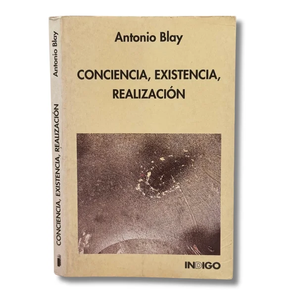 Conciencia, existencia, realización
