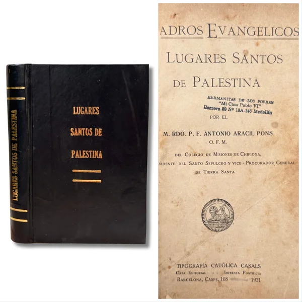 Cuadros evangélicos y lugares santos de Palestina
