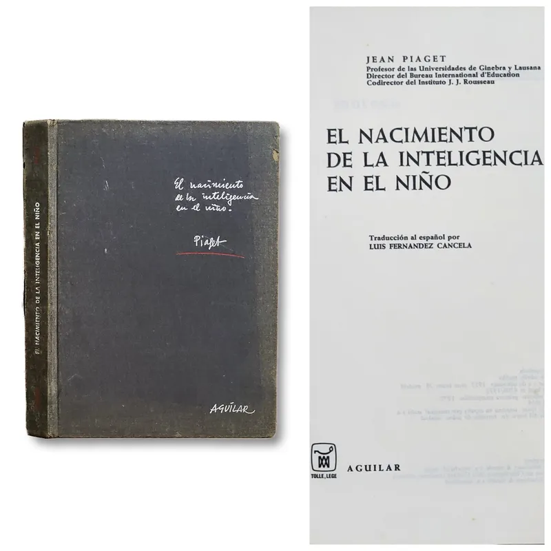 El nacimiento de la inteligencia en el niño