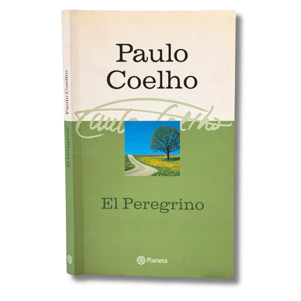 El peregrino de Compostela