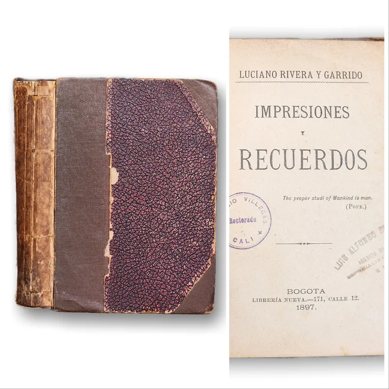 Impresiones y recuerdos (1896)