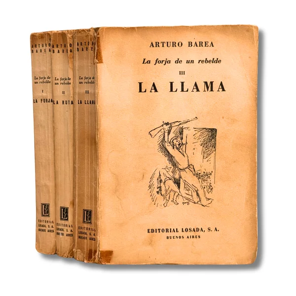 La forja de un rebelde (La forja, la ruta, la llama)
