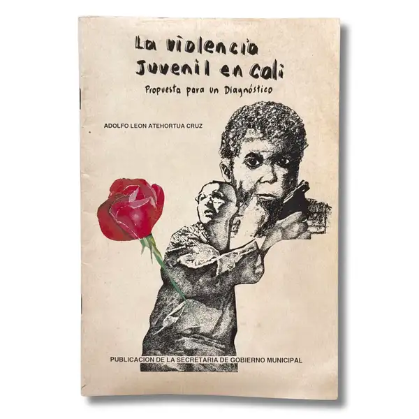 La violencia juvenil en Cali. Propuesta para un diagnóstico