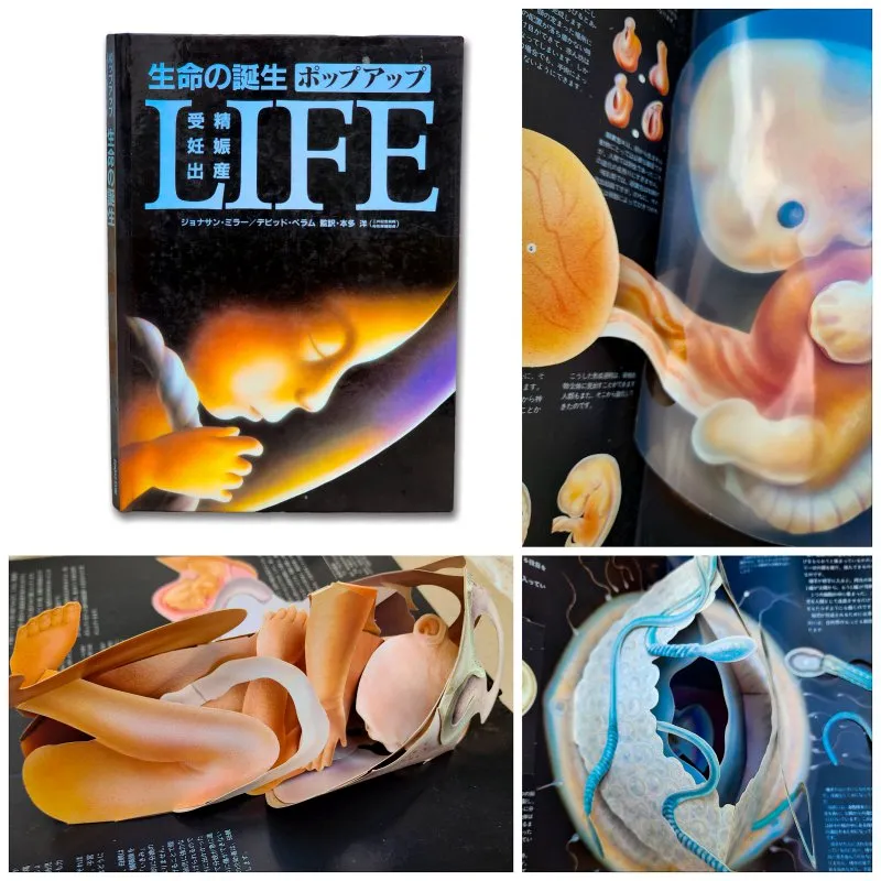 Life Libro Pop up