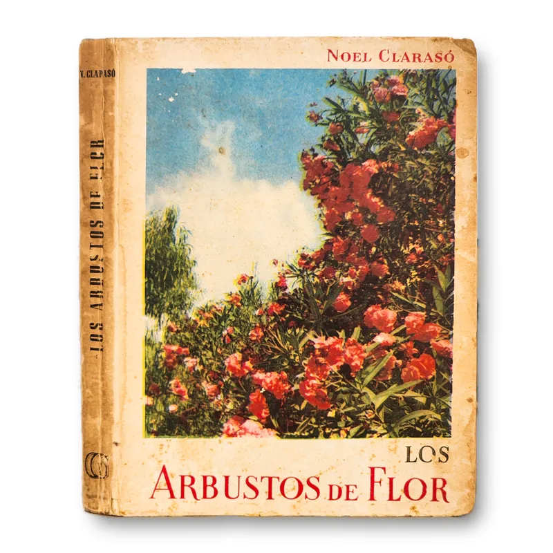 Los arbustos de flor
(Algunos subrayados)