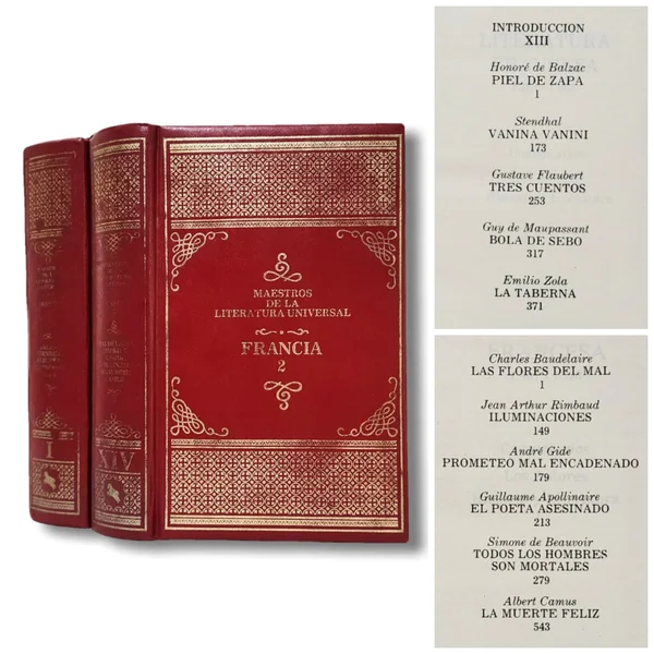 Maestros de la literatura universal: Francia