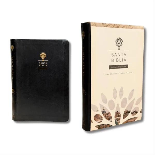 Santa biblia reina Valera1960. Letra grande, imitación piel negra con imágenes de tierra santa
