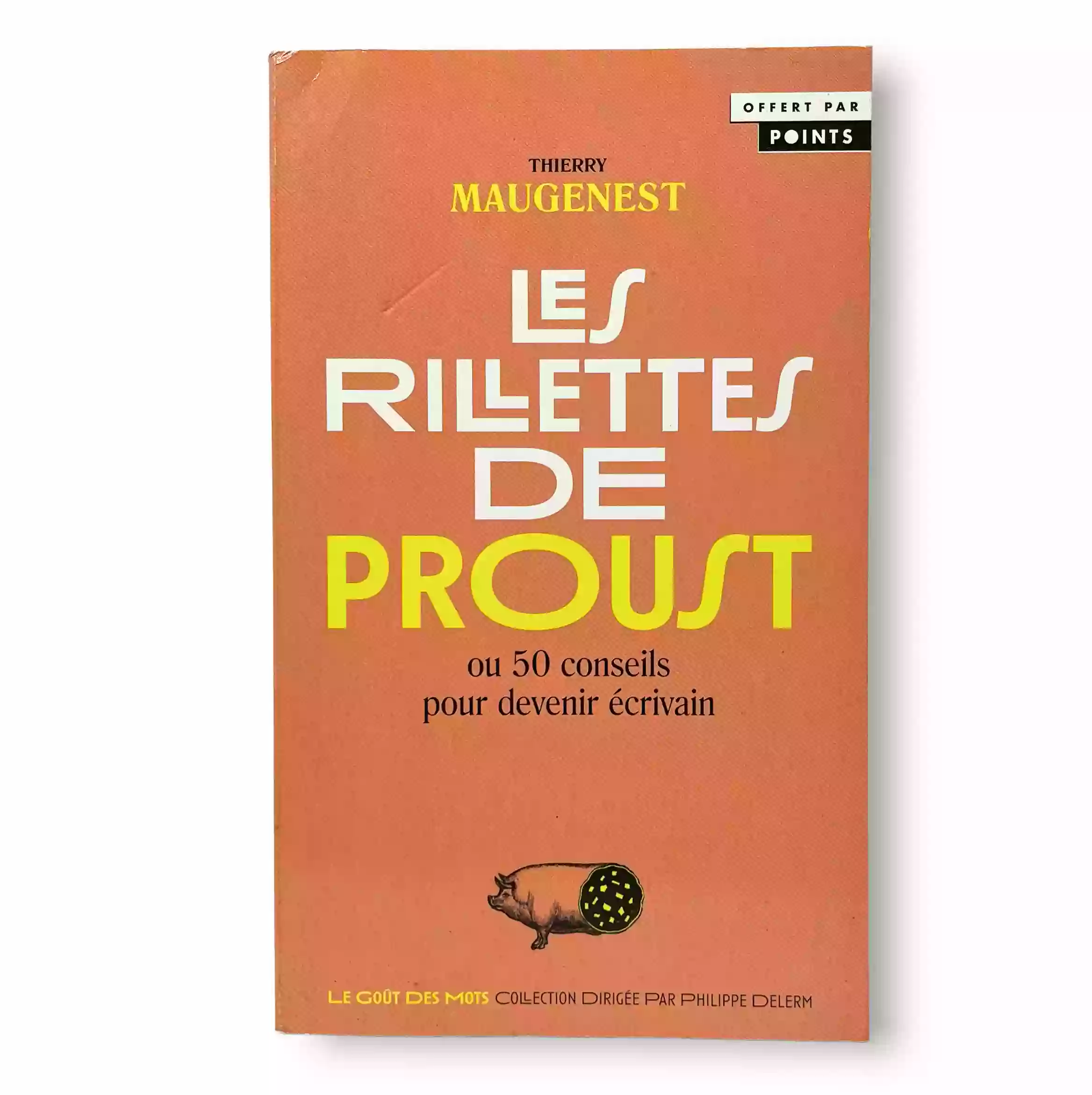Les rillettes de Proust. Ou 50 conseils pour devenir écrivain